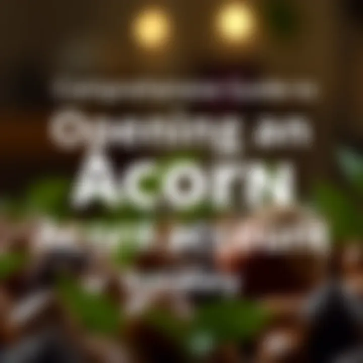 Comprehensive Guide to Opening an Acorn Account Summary