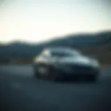 Evaluating Tesla as a Strategic Investment Choice Introduction