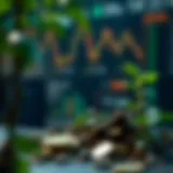 Sustainable Investment Strategy Investment strategy focused on sustainable practices