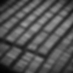 Detailed view of various barcode types used in inventory management.