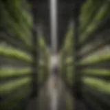A modern vertical farm showcasing innovative agricultural technology.