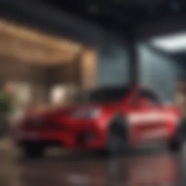 Lifestyle Considerations Lifestyle and usage scenarios for Tesla ownership