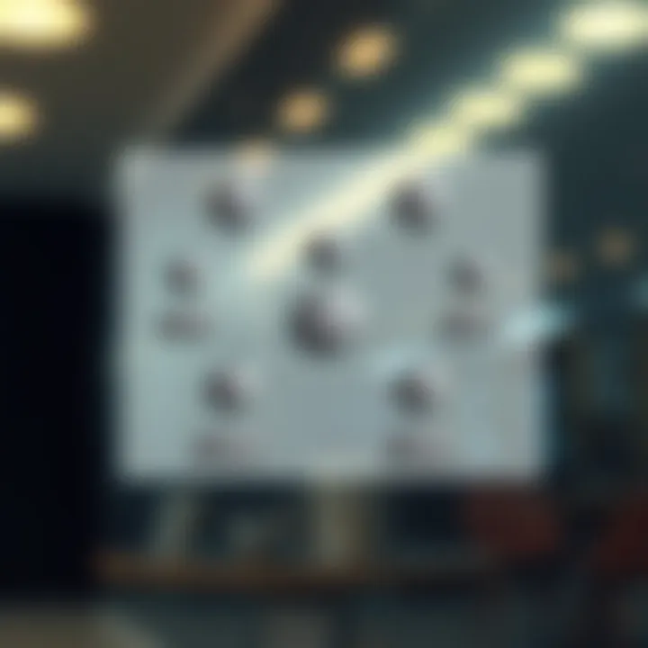 The Role of Underwriters in IPOs Diagram highlighting the role of underwriters in IPOs