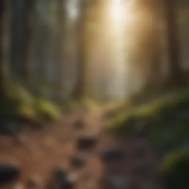 Competitive Landscape Insights Infographic illustrating competitive landscape for Shopify