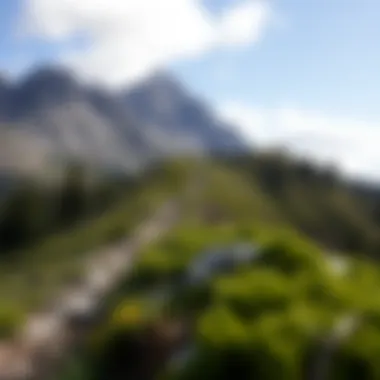 A scenic view of a popular hiking trail during peak season