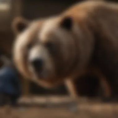 Investor Psychology in Bear Markets Visual representation of investor psychology during downturns