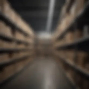 Efficient Stockroom Organization An organized retail stockroom showcasing various inventory items.
