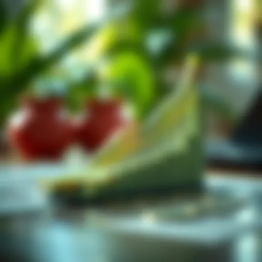 Conceptual representation of savings growth