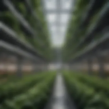 A futuristic vertical farming facility emphasizing sustainability.