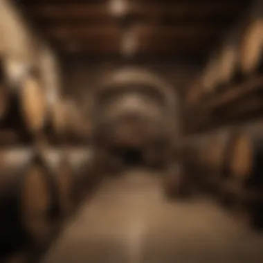 A rustic wine cellar filled with aging barrels